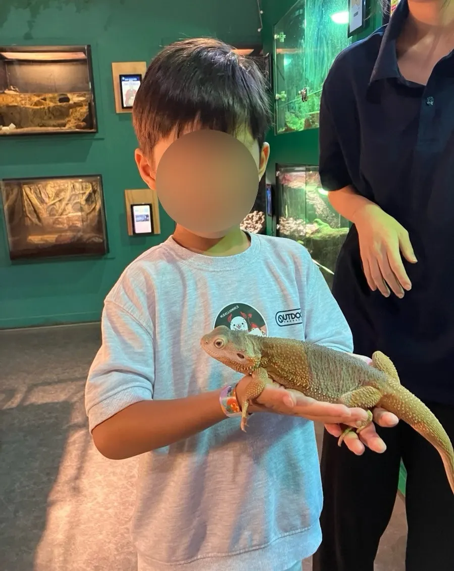 A child touching a lizard during the experience