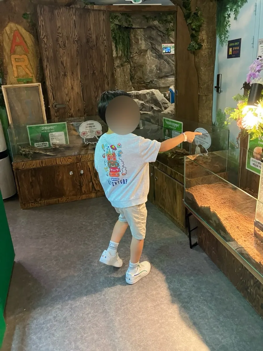 Turtle feeding experience zone