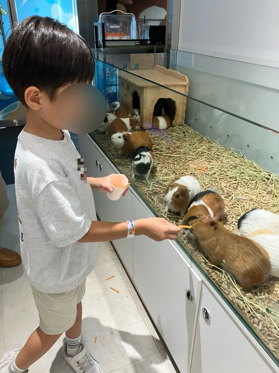 A child feeding a carrot to a guinea pig