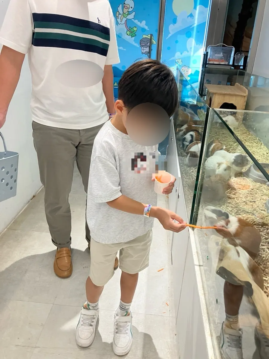 Rodent zone with lop-eared rabbits and guinea pigs