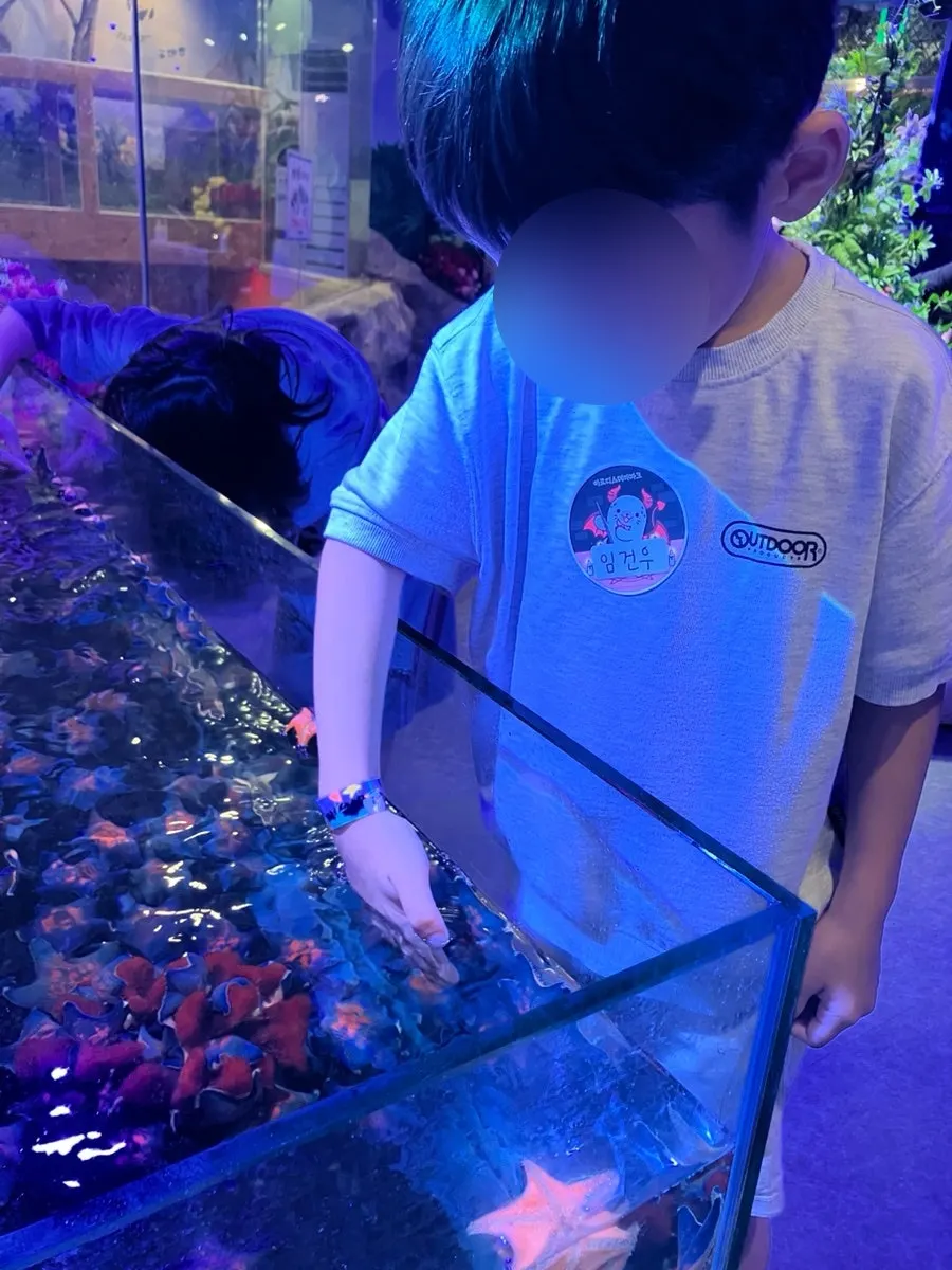Touching experience with a fiddler crab