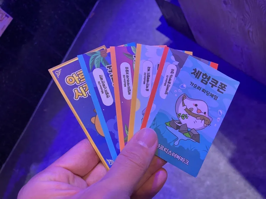 Using the experience pass at an activity zone