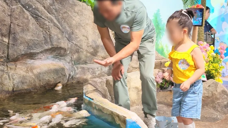 Rabbits approaching a person holding food