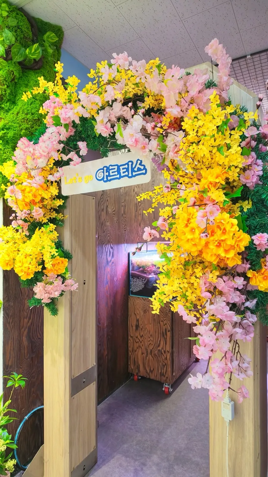 Entrance photo zone and the moss and small-fish display area