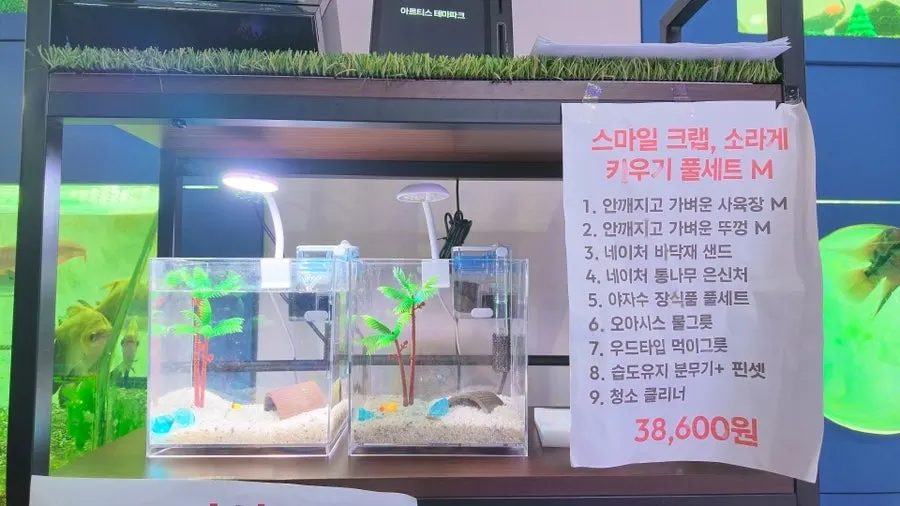 Sales corner for creatures you can raise at home