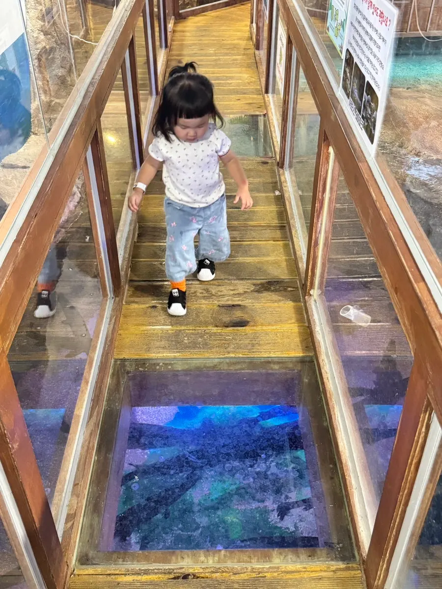 A 2-year-old’s indoor animal adventure