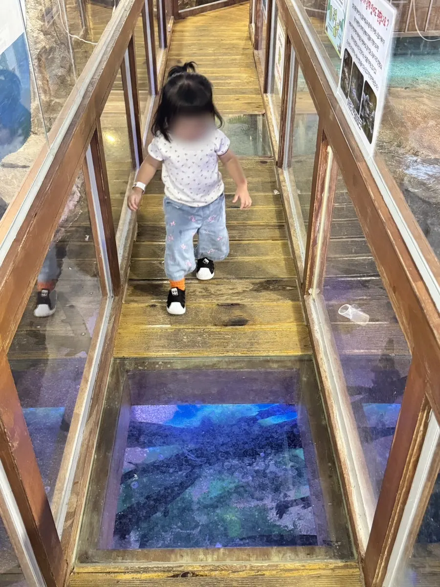A 2-year-old’s indoor animal adventure