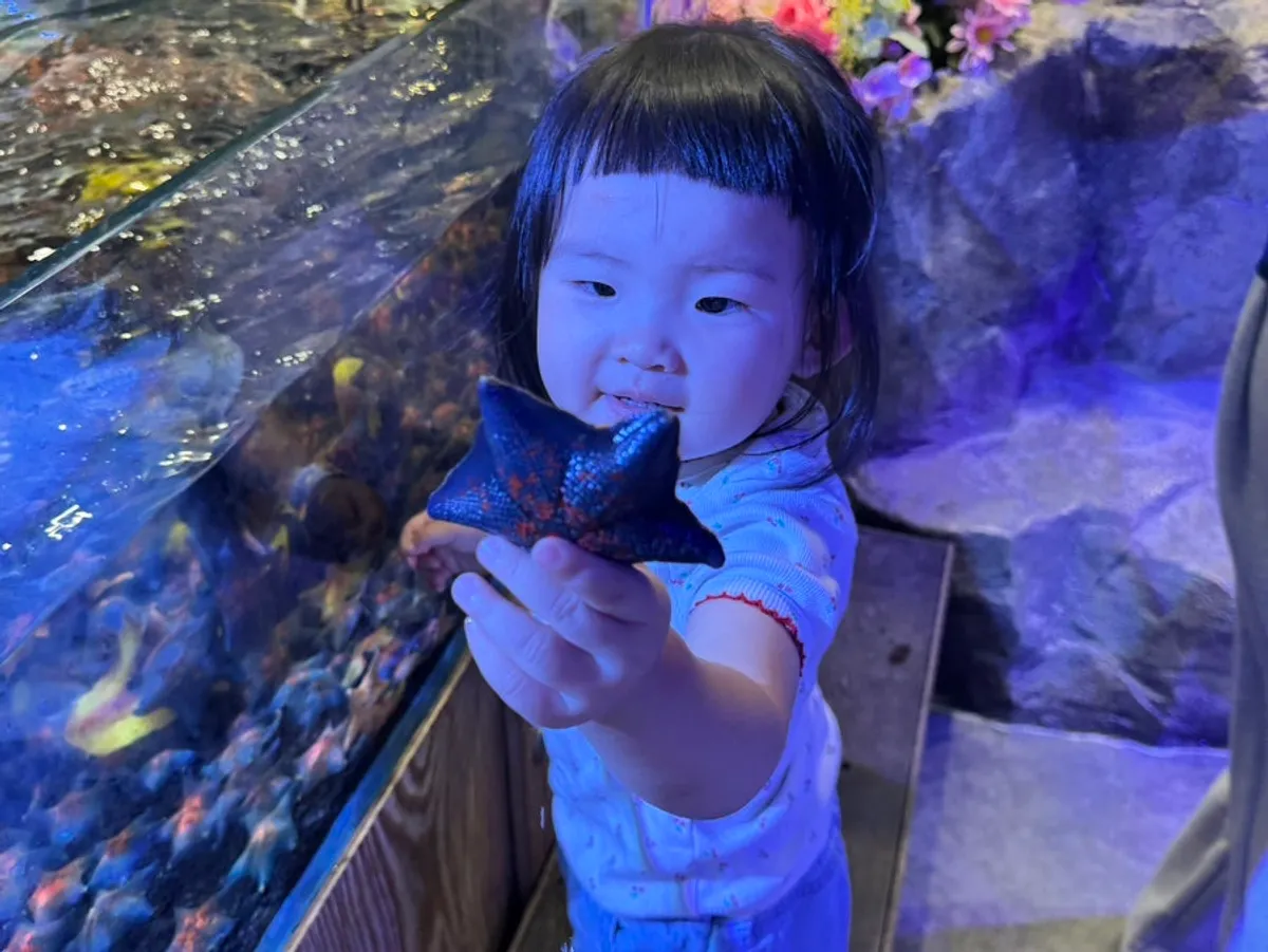 Compact indoor animal adventure space