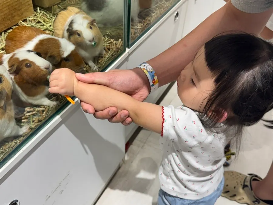 A family animal experience together
