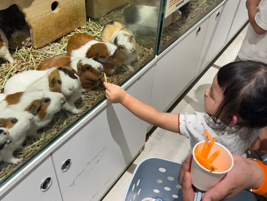 Indoor adventure for parent and child