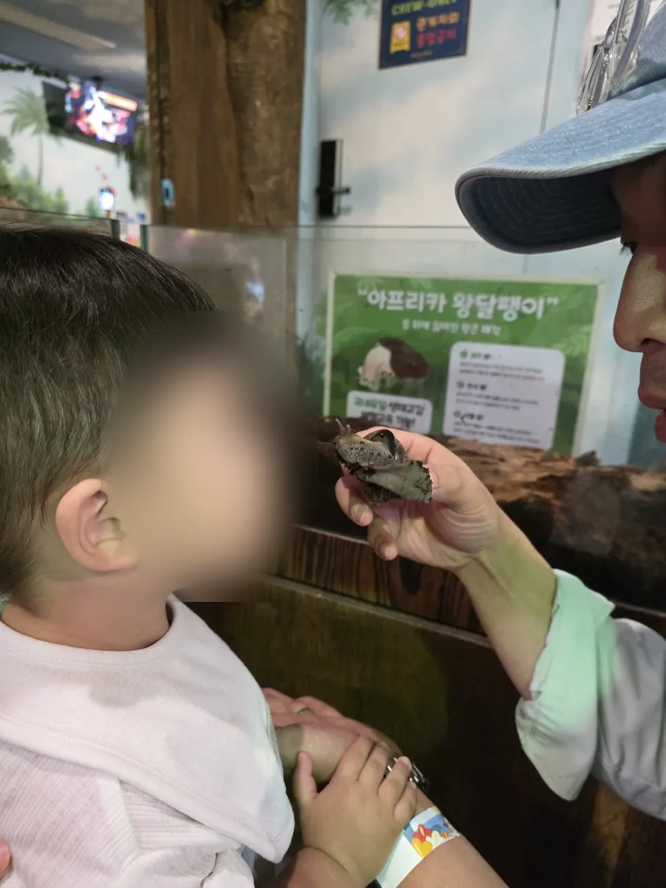 동물을 가까이서 구경하는 18개월 아기