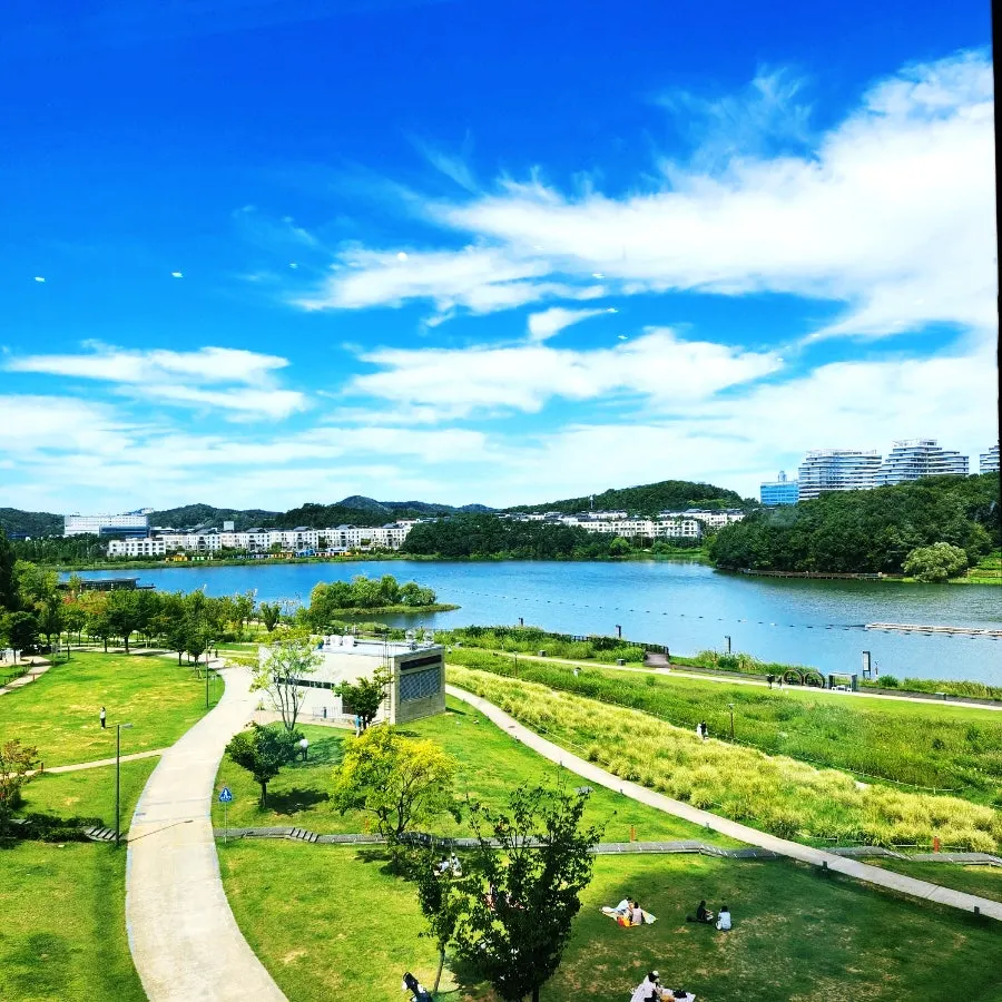 Dongtan Lake Park seen from a window seat