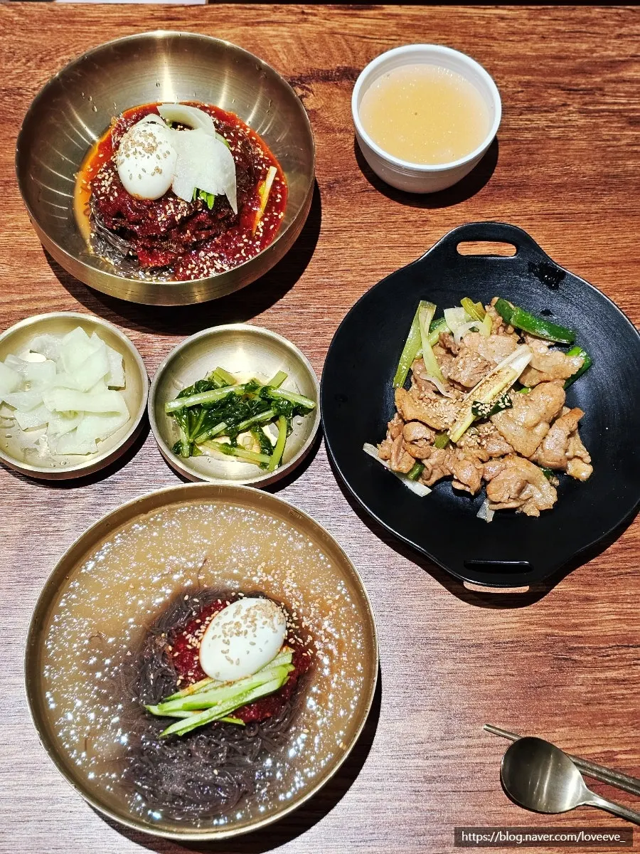 A bowl of mul naengmyeon with semi-frozen broth