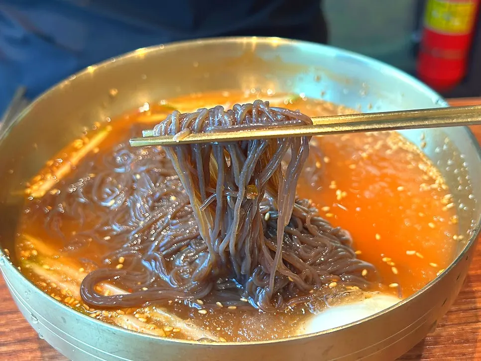 Kudzu noodle mul-naengmyeon topped generously with garnishes