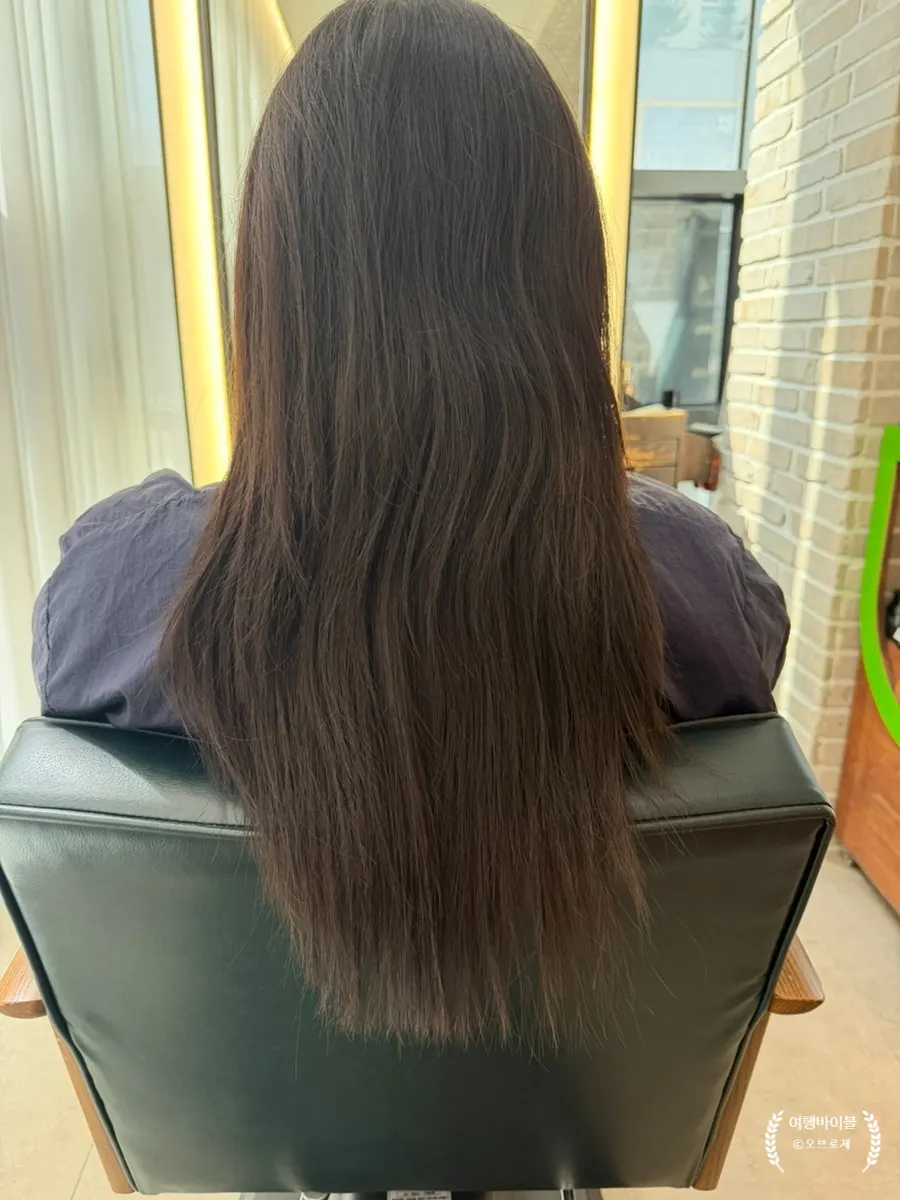 Hair before the treatment, frizzy and untidy at the ends