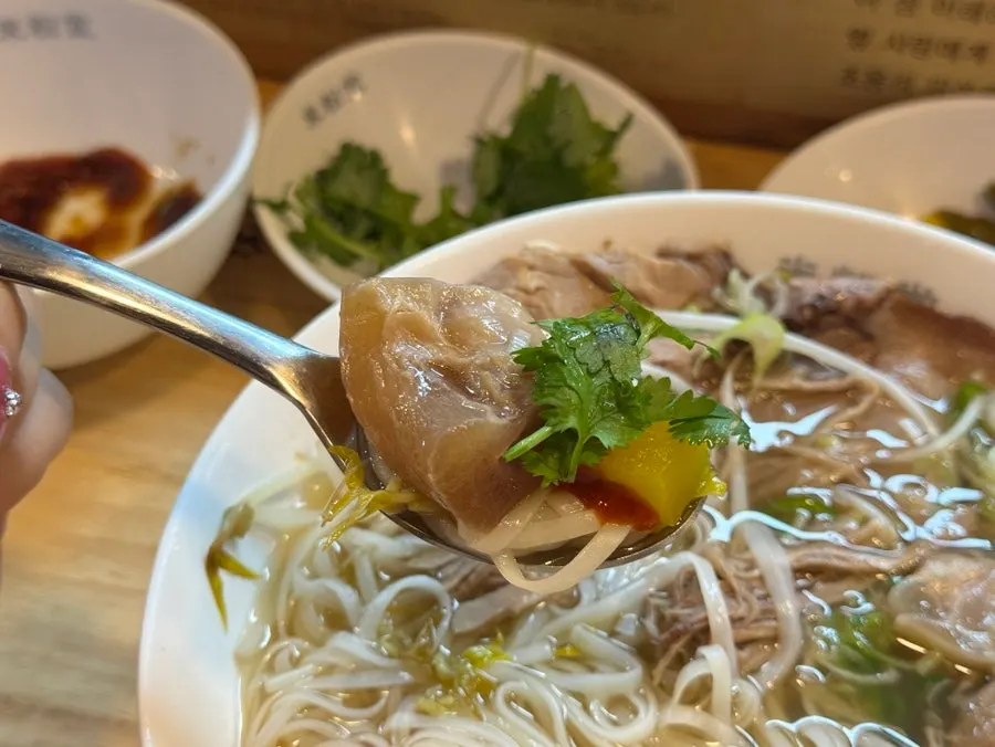 Pho with cilantro and pickled radish