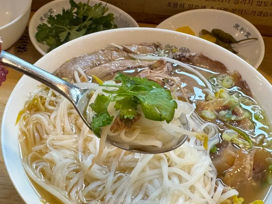 Pho with onion and cilantro