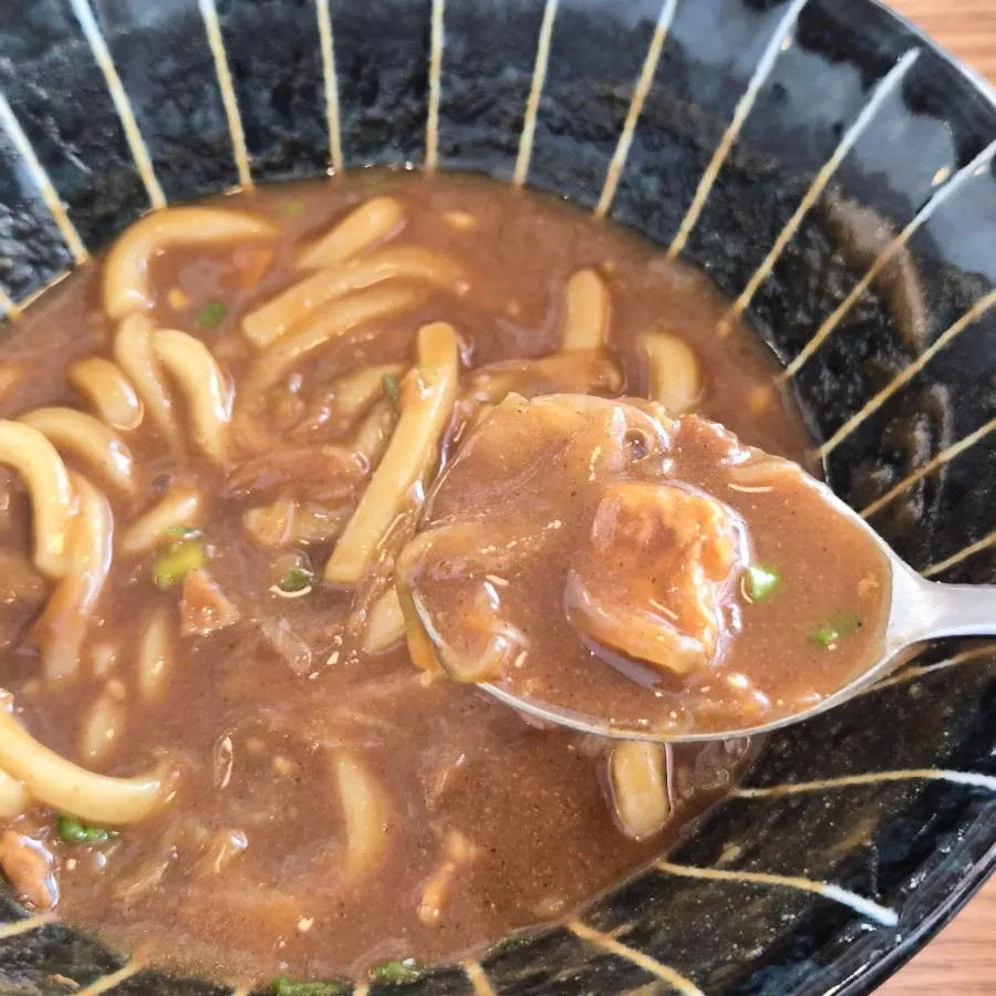 진한 카레 국물의 카레우동 클로즈업