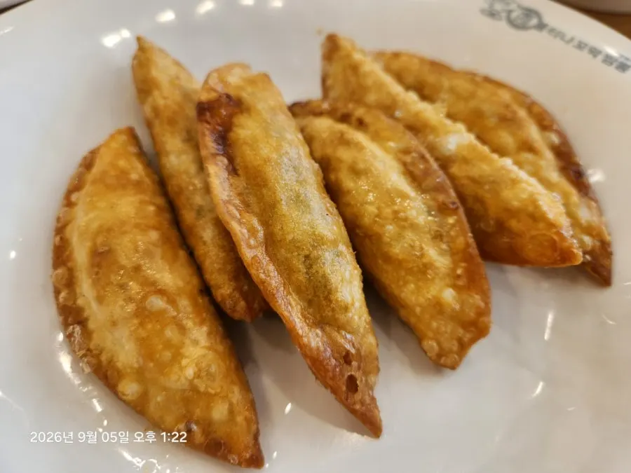 Freshly fried dumplings received through the review event