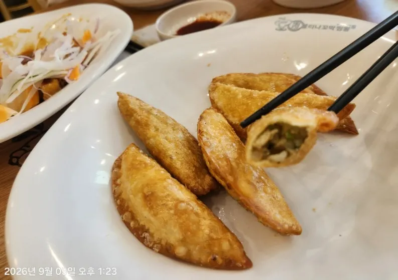 Close-up of a plate of crispy fried dumplings