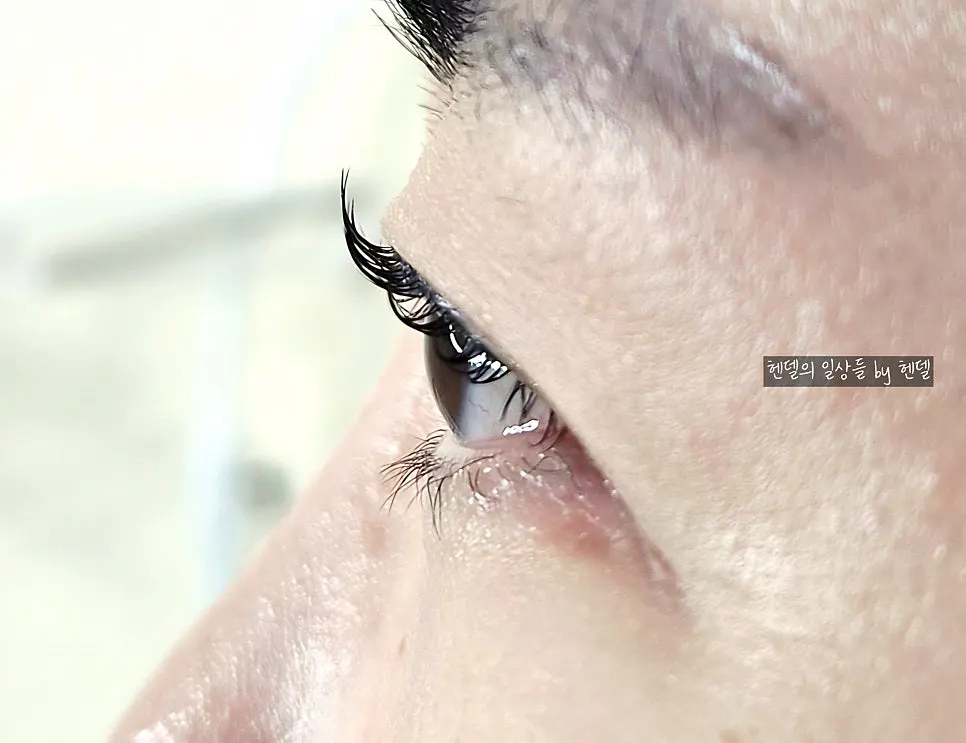 Side view of upward-lifted lashes