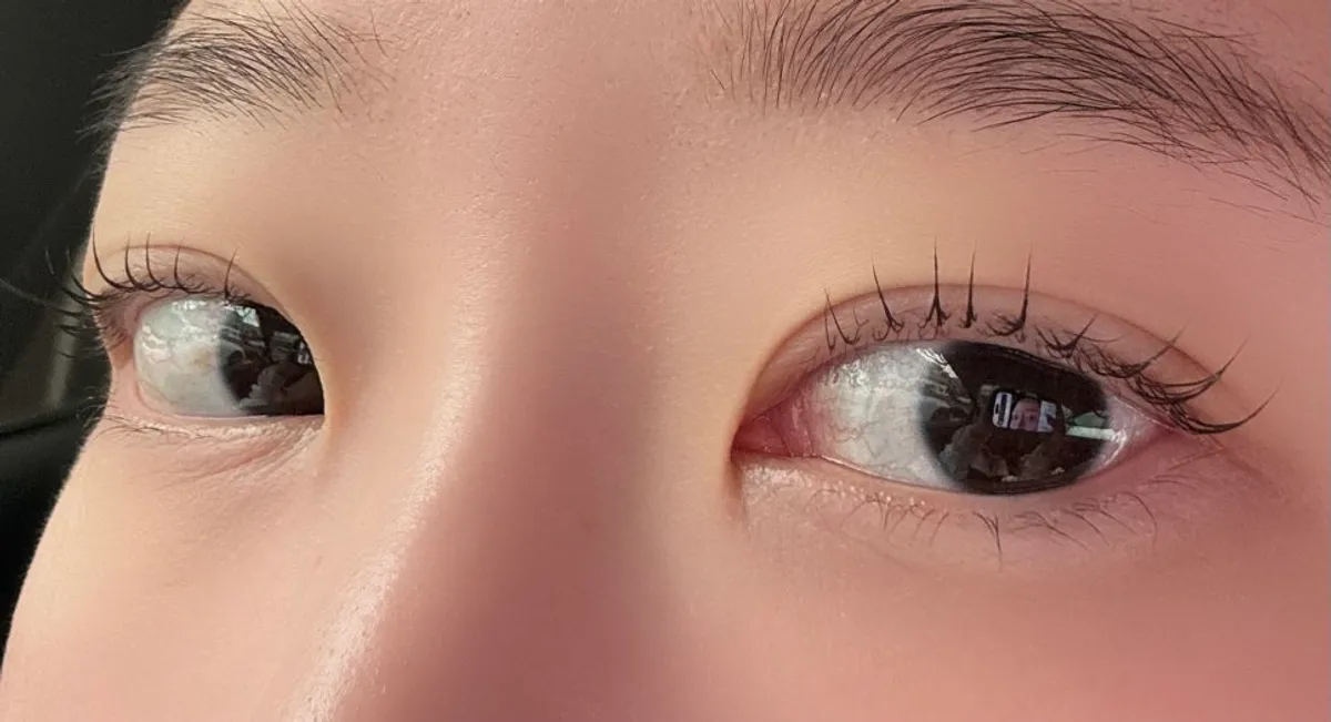 Eye area checked on a phone after a lash lift
