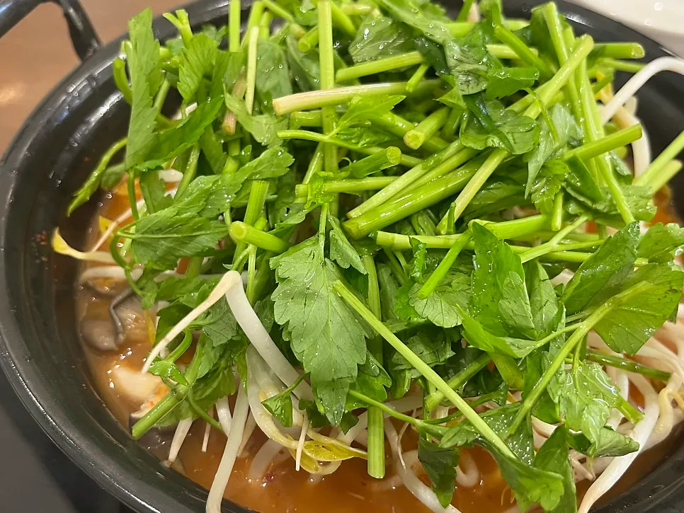 Shabu-shabu vegetables served half minari, half bean sprouts