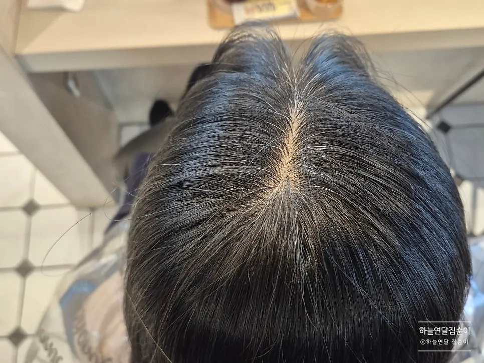 기존 염색모와 뿌리 색 차이