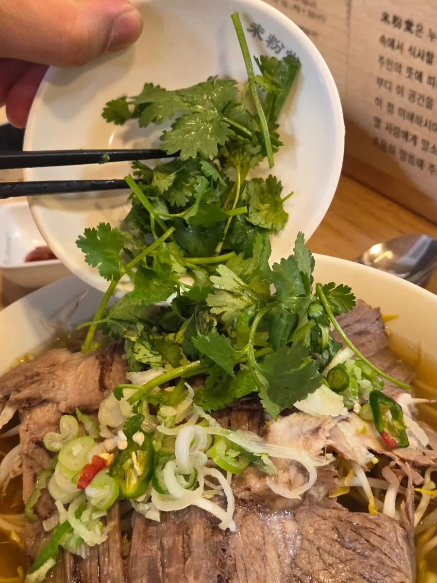 Pho topped with cilantro