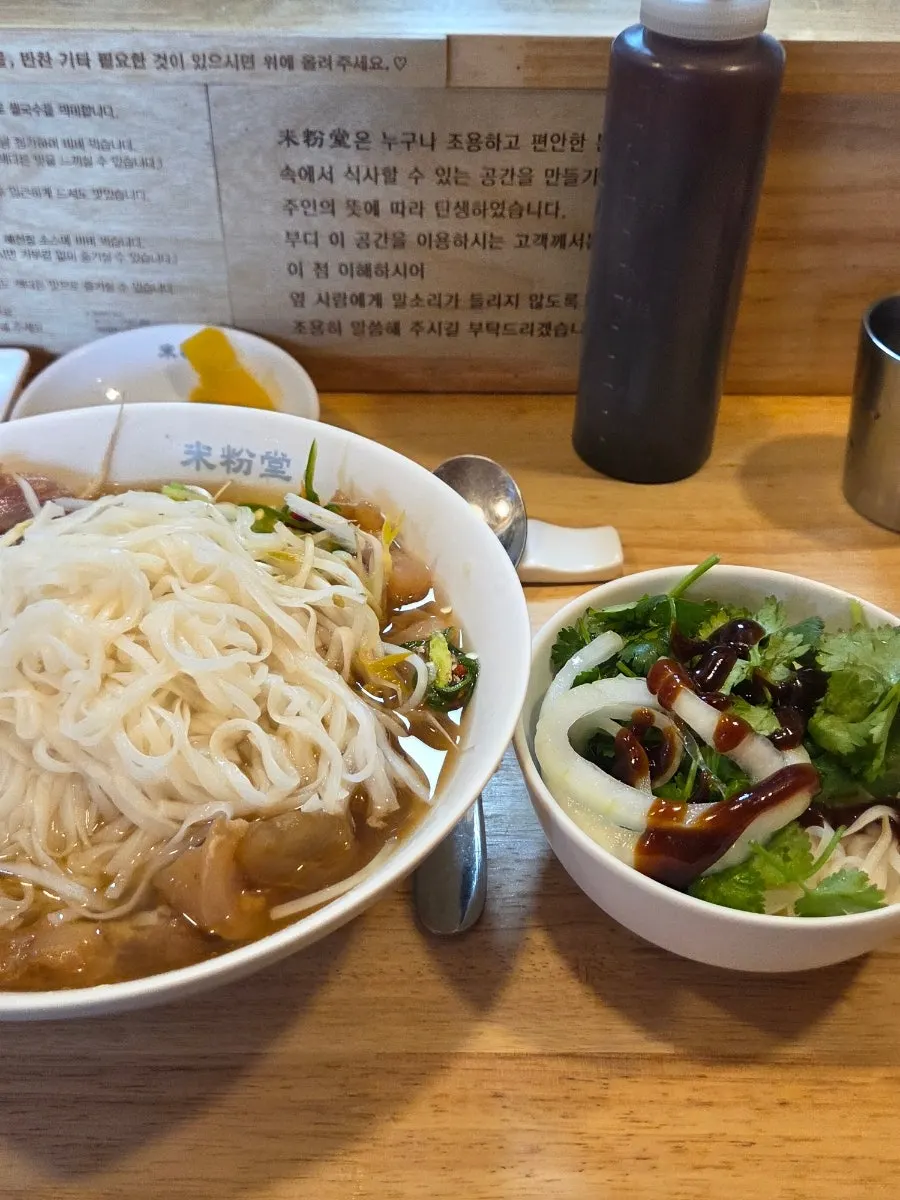 A plate of split-off noodles topped with cilantro, onion, and hoisin sauce