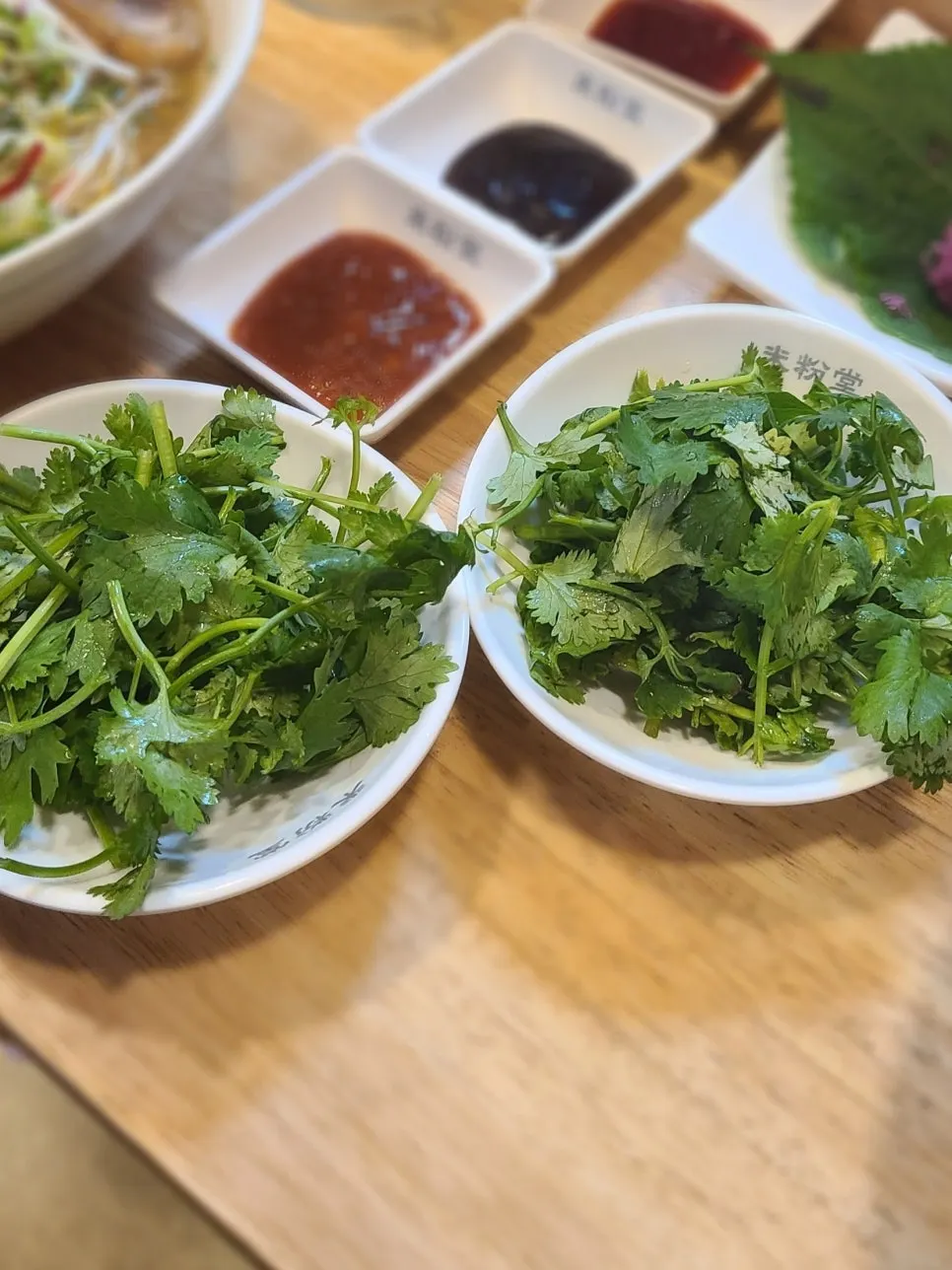 A generous plate of free cilantro