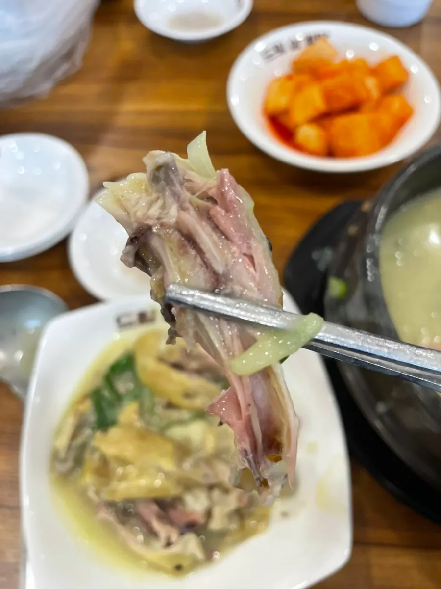 촉촉한 닭가슴살 살코기