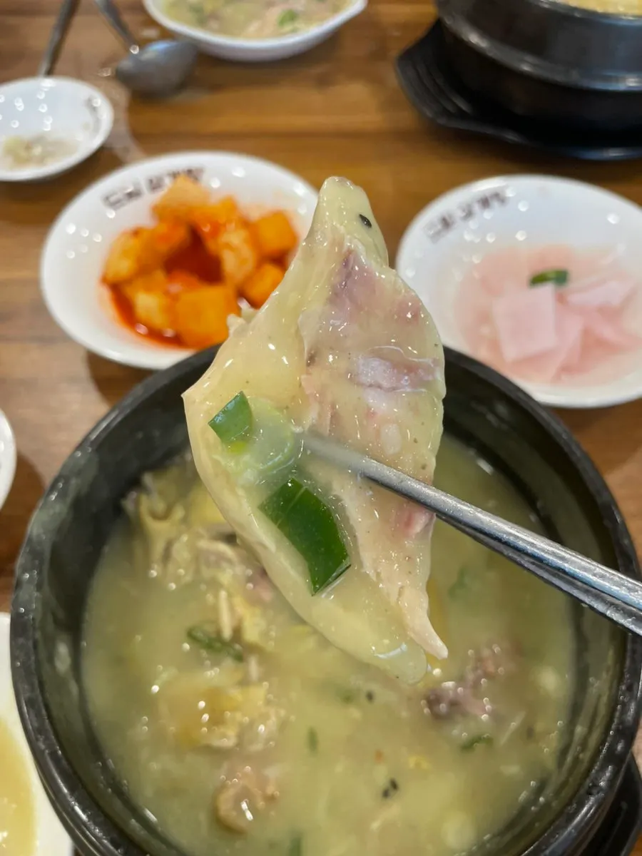 삼계탕 닭고기를 국물에 적신 모습