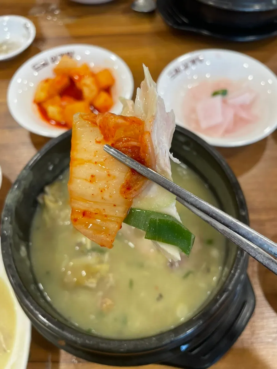 한방향이 도는 삼계탕 국물과 닭고기
