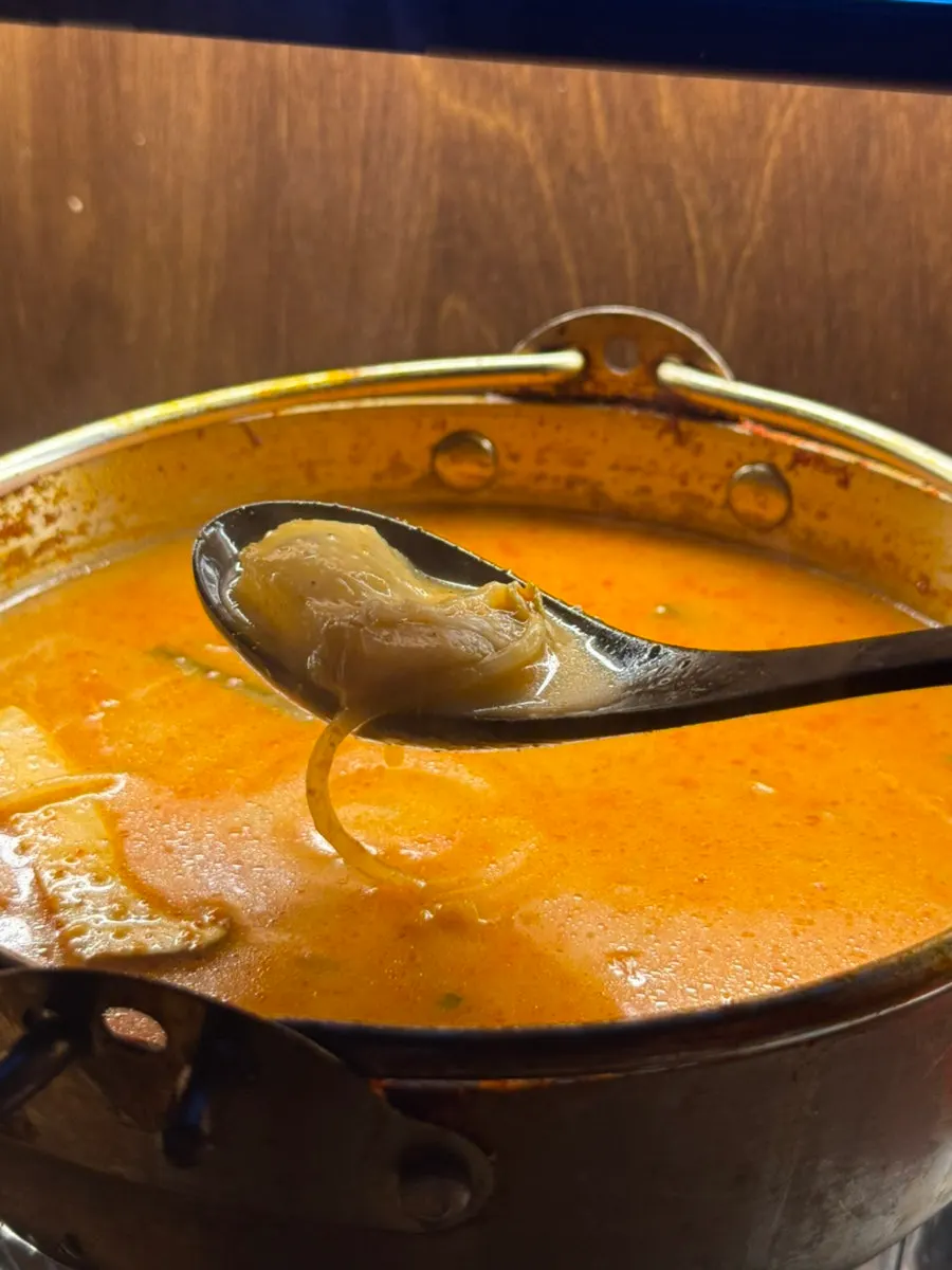 Beef tendon hot pot simmering with vegetables