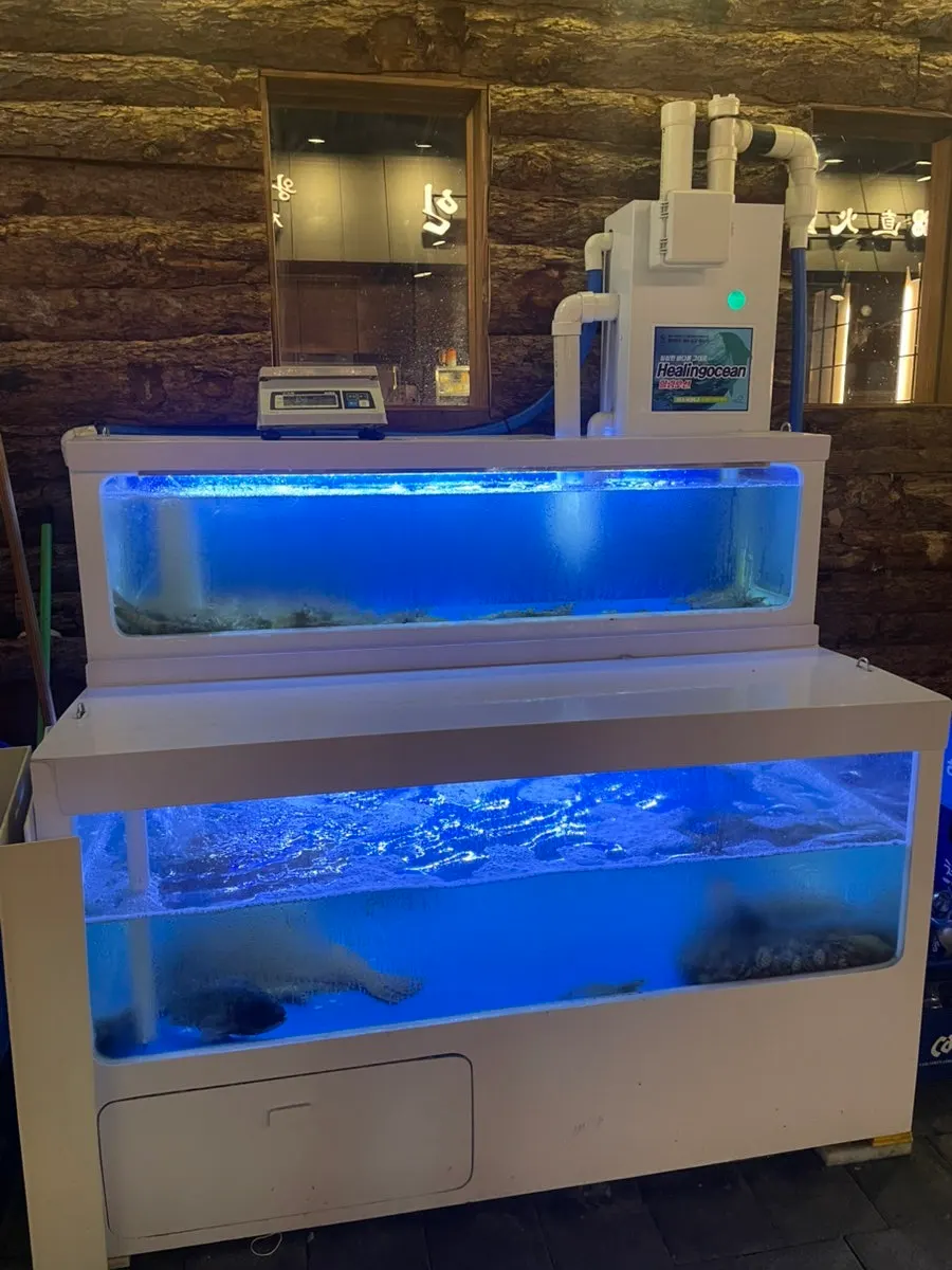 Tank with live shrimp in front of the restaurant