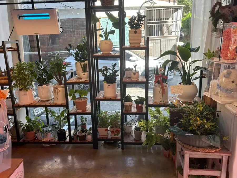 Spacious flower and plant sales area
