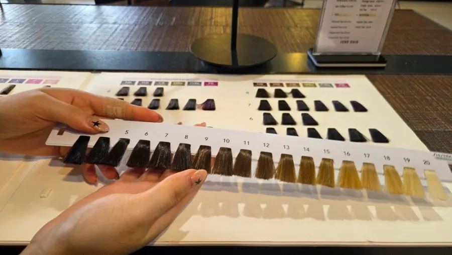 Consultation scene for winter cool-tone wedding dye color