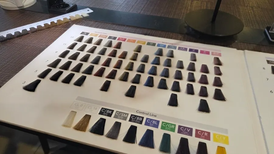 Color chart used to check the ash brown tone level