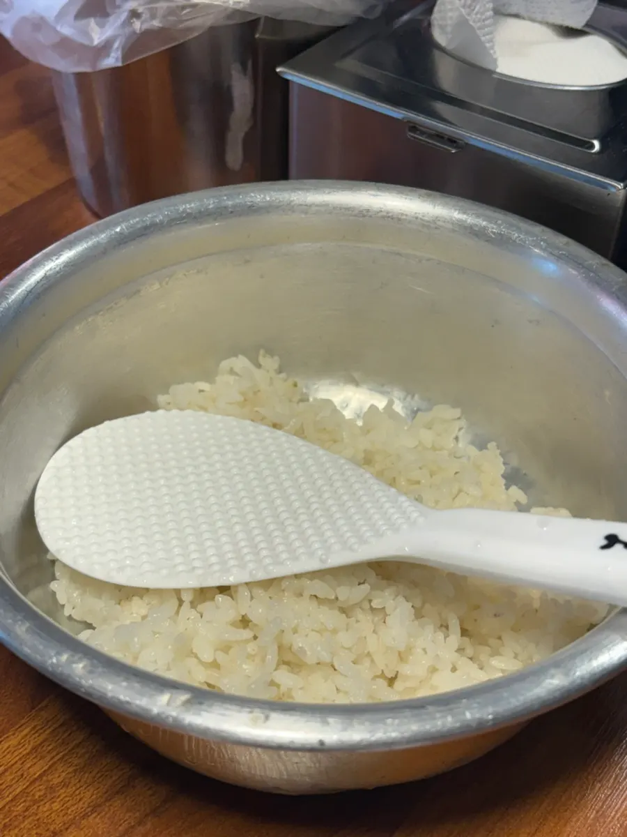 A moderate-sized bowl of rice