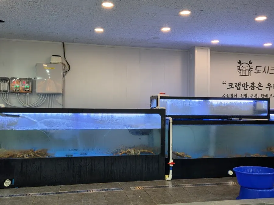 도시크랩 직영 매장 안내