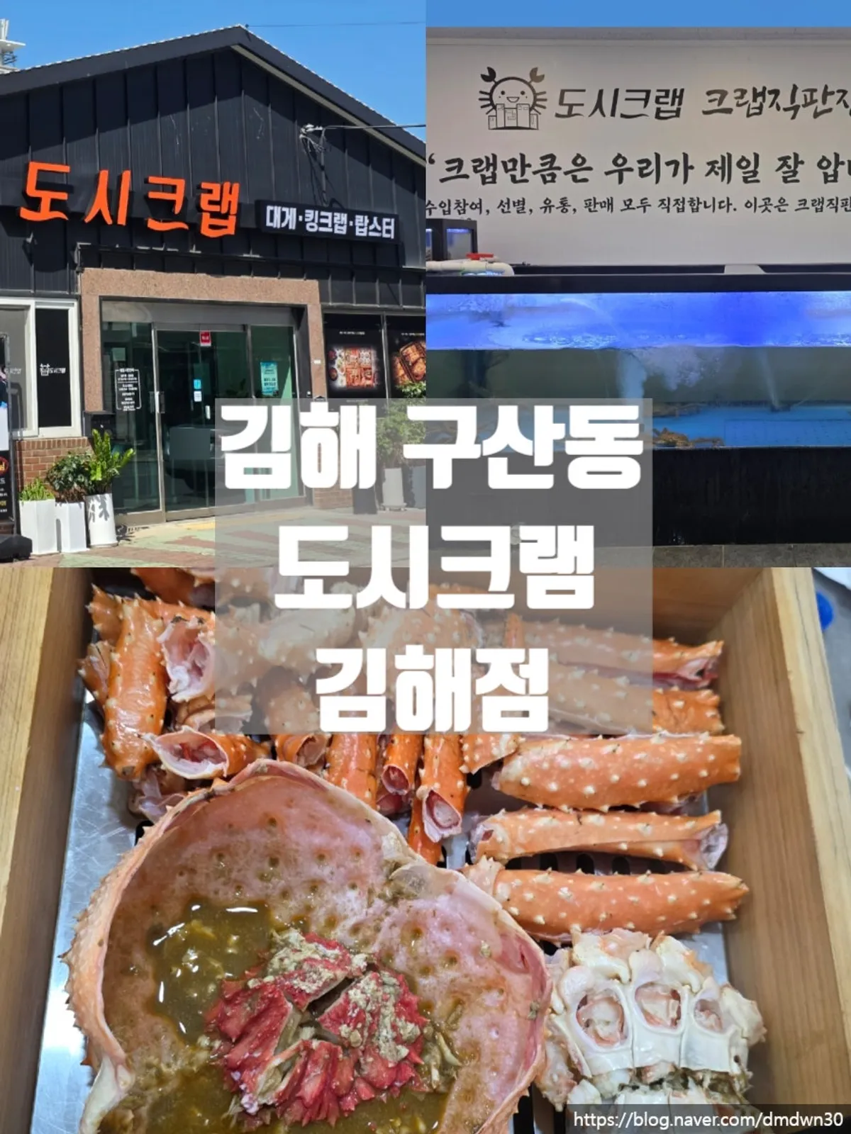 김해 구산동 도시크랩 김해점 킹크랩 상차림