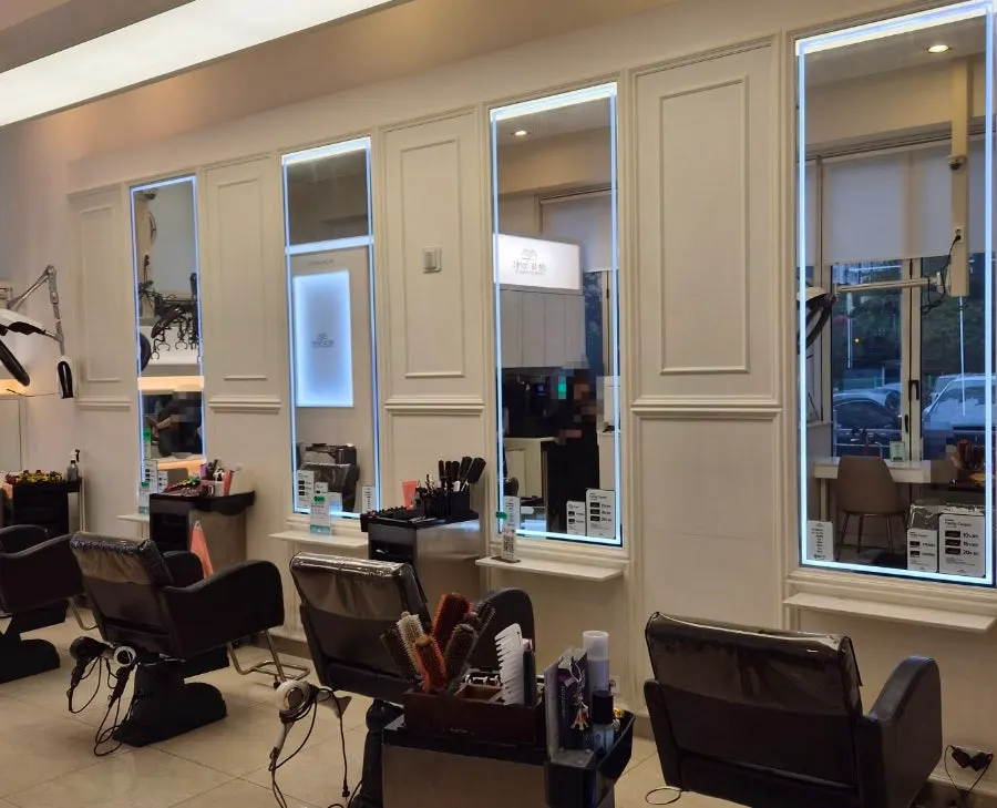 Explanation of the Hoyu Clinic treatment steps