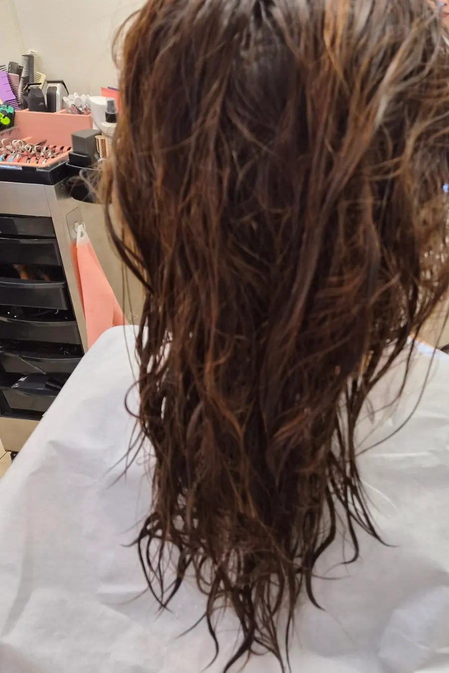 Dry and brittle hair condition checked after shampooing