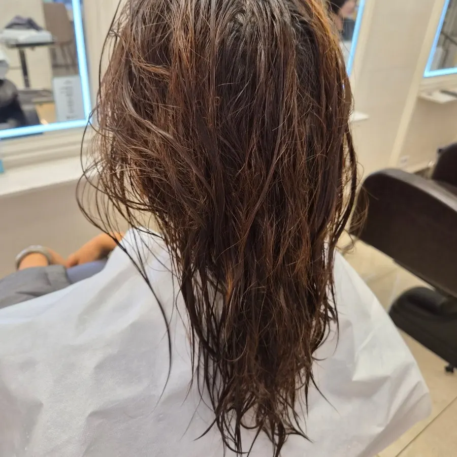 Hair so tangled it could not be combed through