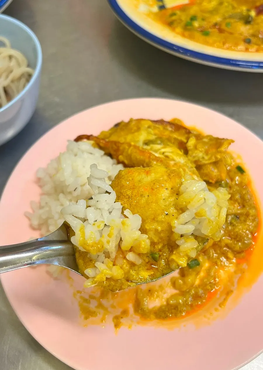 A spoonful of curry rice mixed together