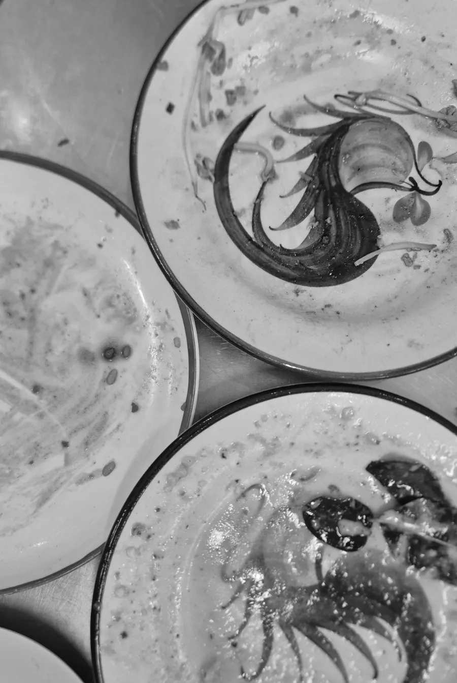 Empty plates cleared without a single bite left