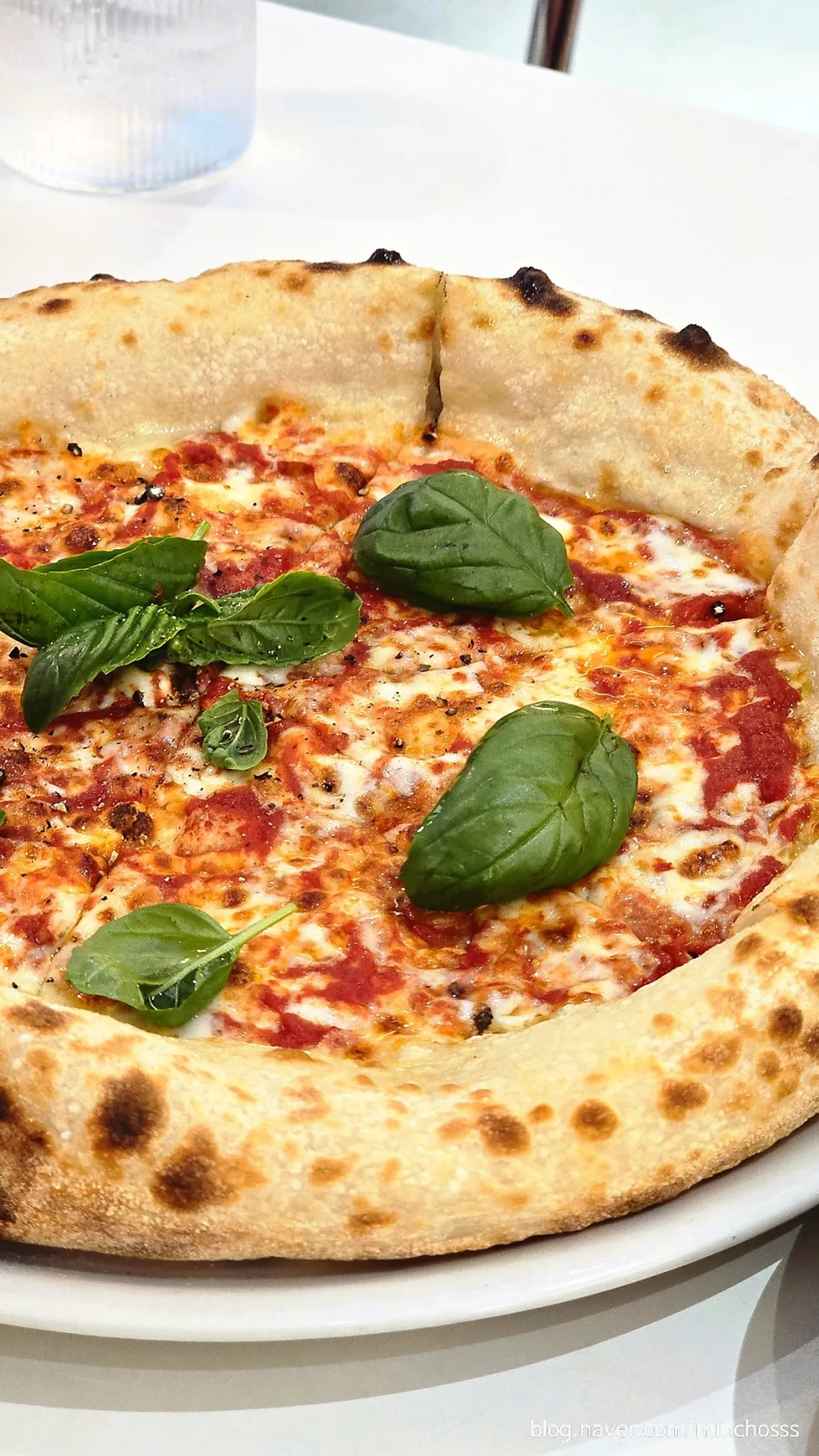 A whole wood-fired margherita pizza
