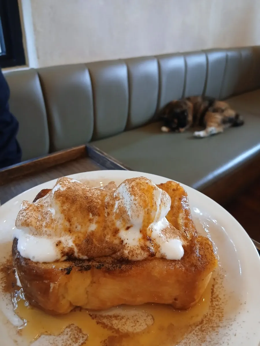 Honey bread French toast topped with whipped cream