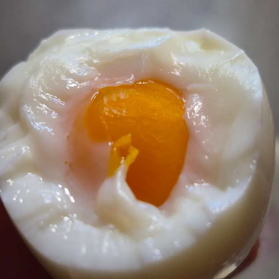 Cross-section of a soft-boiled fertilized egg